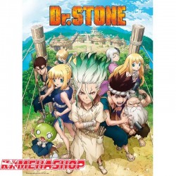 Poster Dr Stone