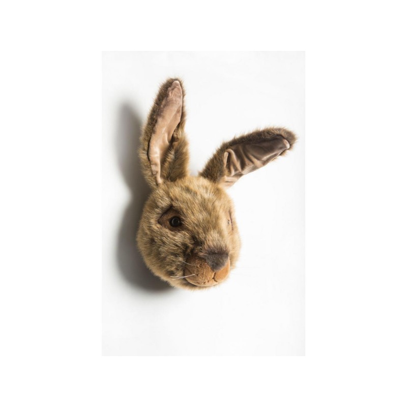 Trophée lapin